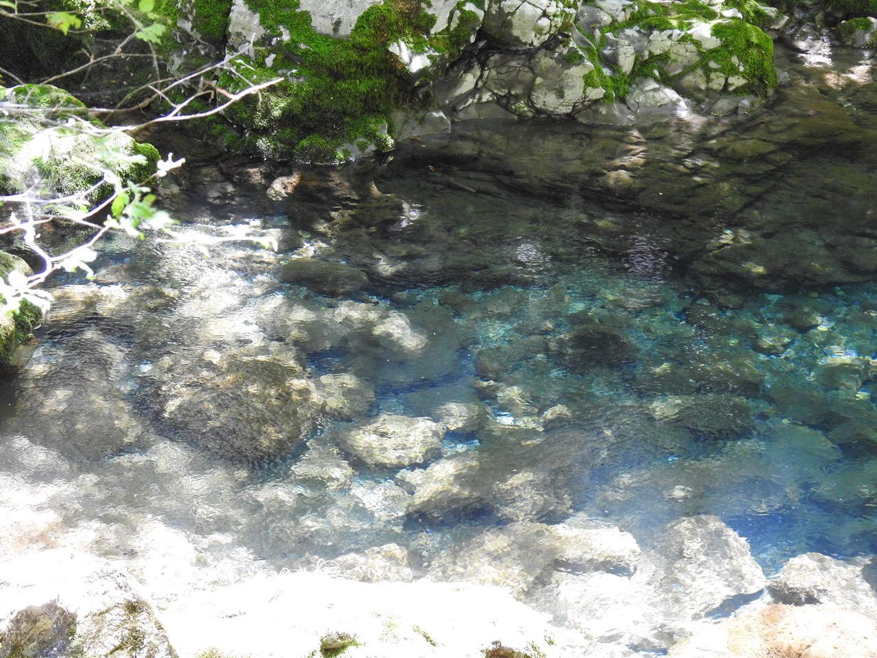 『渓流風景(神崎川と円原川)』_d0054276_20194551.jpg