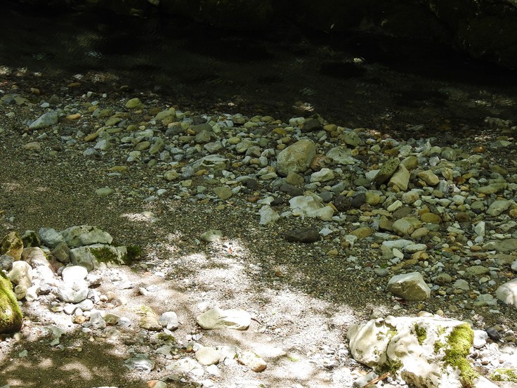 『渓流風景(神崎川と円原川)』_d0054276_20195997.jpg