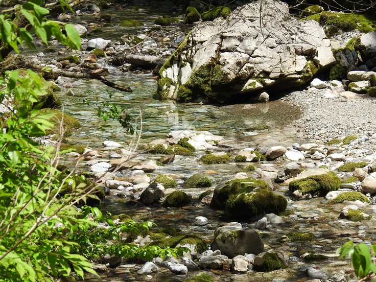 『渓流風景(神崎川と円原川)』_d0054276_20204315.jpg