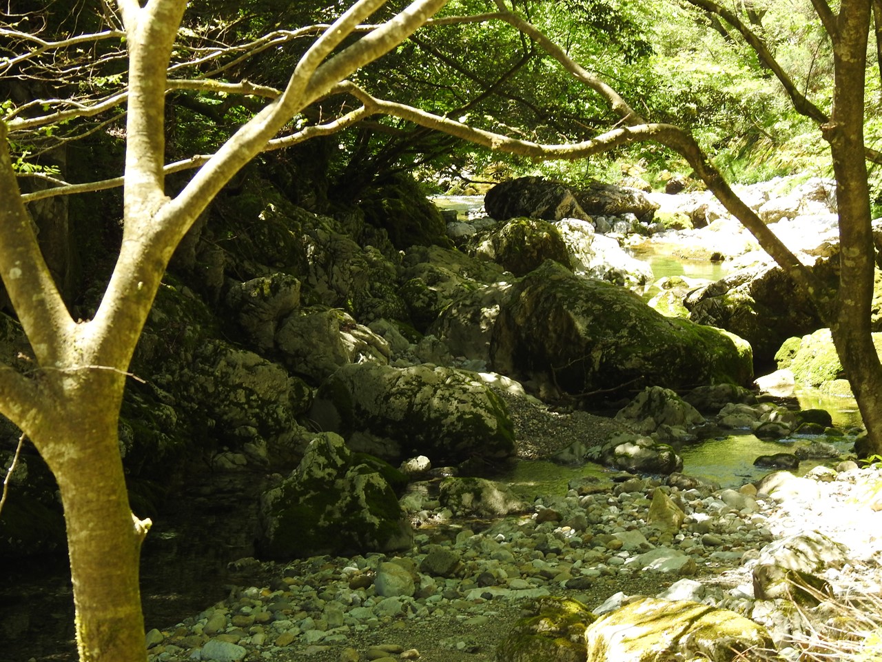 『渓流風景(神崎川と円原川)』_d0054276_20205744.jpg
