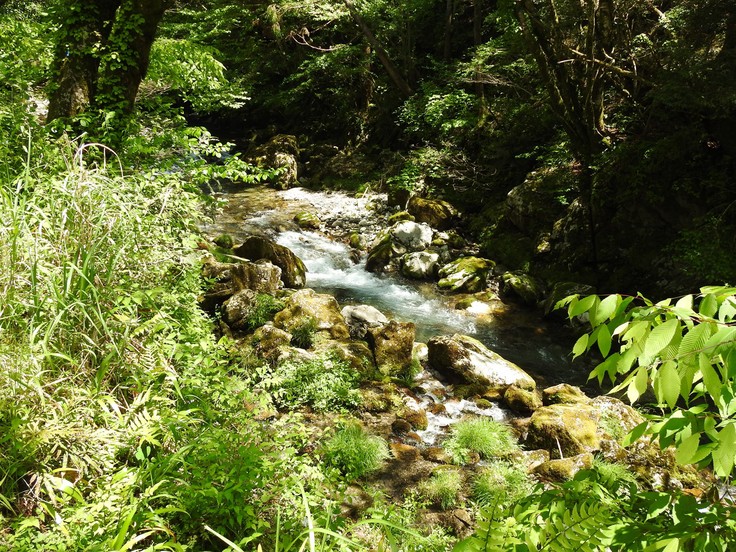 『渓流風景(神崎川と円原川)』_d0054276_20213167.jpg