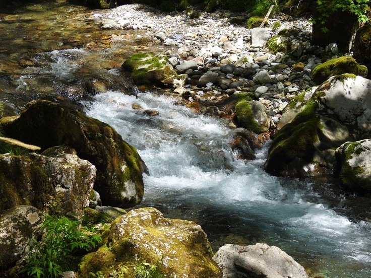 『渓流風景(神崎川と円原川)』_d0054276_20214825.jpg
