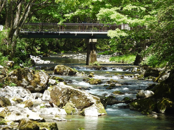『渓流風景(神崎川と円原川)』_d0054276_20221897.jpg