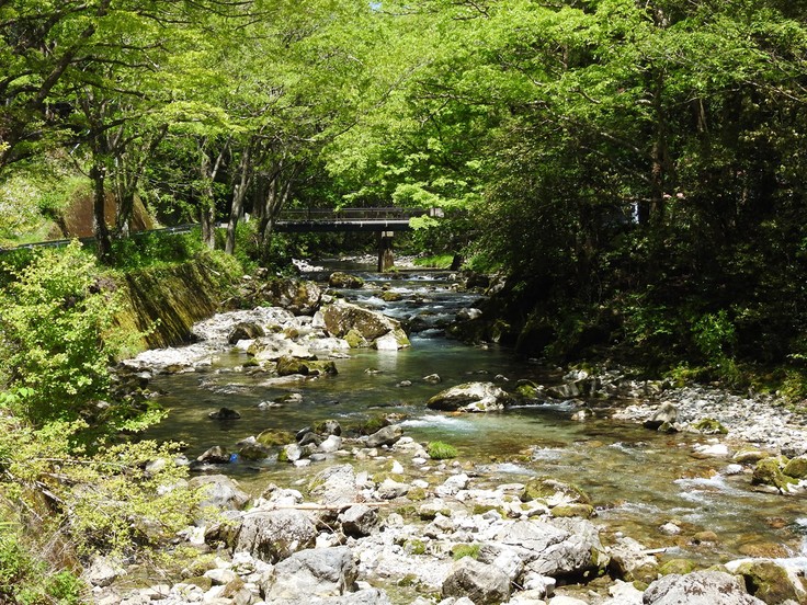 『渓流風景(神崎川と円原川)』_d0054276_2022328.jpg