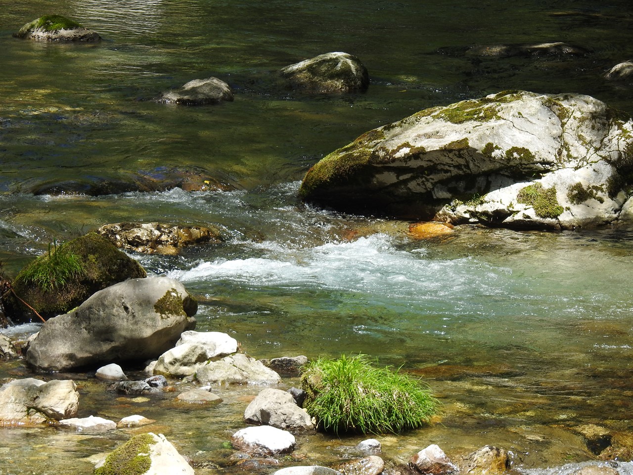 『渓流風景(神崎川と円原川)』_d0054276_20223332.jpg