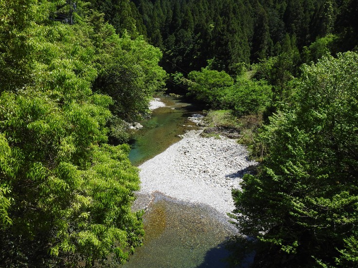 『渓流風景(神崎川と円原川)』_d0054276_20241575.jpg