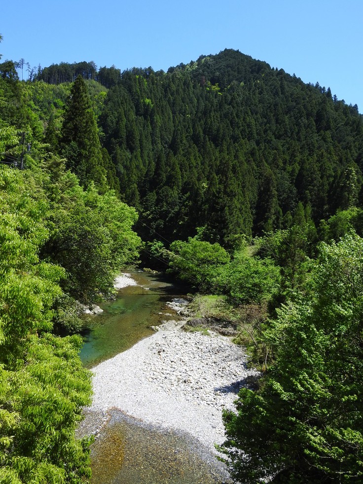 『渓流風景(神崎川と円原川)』_d0054276_20243015.jpg