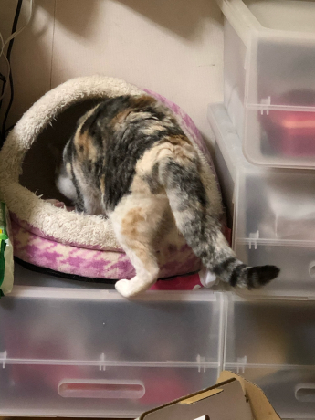 慎重すぎる梅ちゃん_e0355177_15094858.jpg