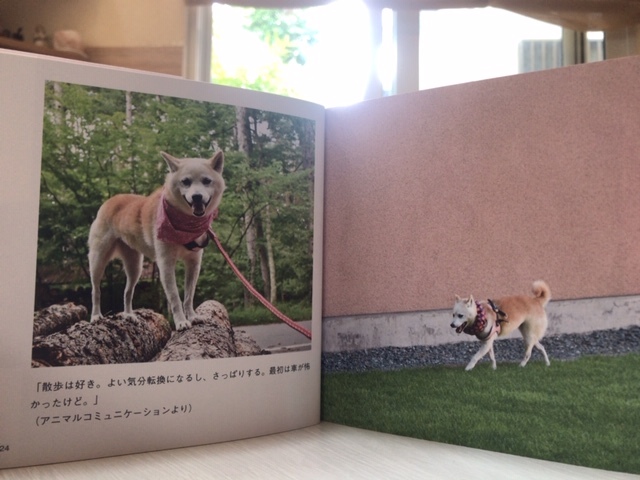 元繁殖犬「はなちゃん」のフォトブック_f0242002_21423223.jpg