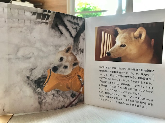 元繁殖犬「はなちゃん」のフォトブック_f0242002_21595987.jpg