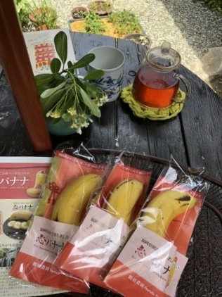 国産ハウス・バナナの頂き物_a0346704_19572851.jpg