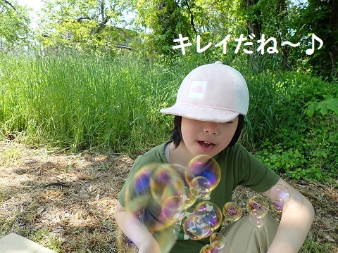 日曜日のりんご村便り。_c0182012_15160225.jpg