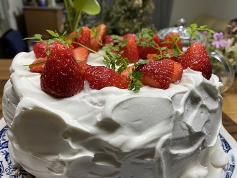 息子の誕生日と マスクケース作り ちいさな幸せのある毎日
