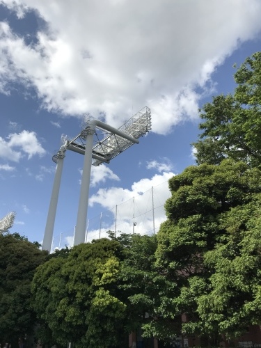休業日ブログ・その44_e0195325_18423003.jpeg