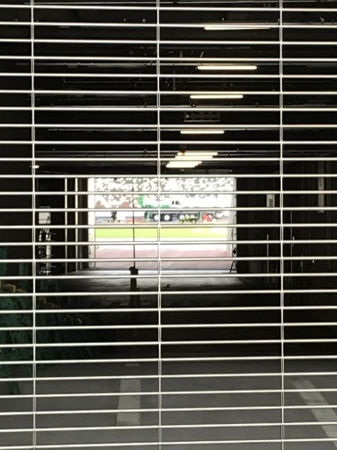 休業日ブログ・その44_e0195325_18432666.jpeg