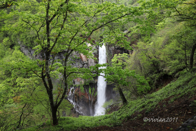 奥日光の現在　～華厳の滝、中禅寺湖、竜頭の滝、湯ノ湖～_e0227942_21212682.jpg