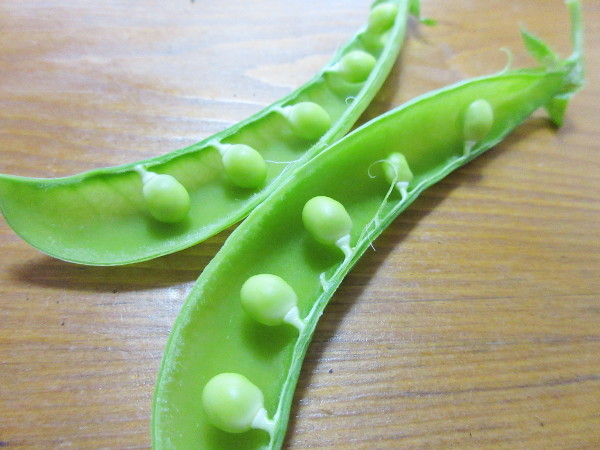【自作】エンドウマメの豆ごはん_c0152767_22201552.jpg