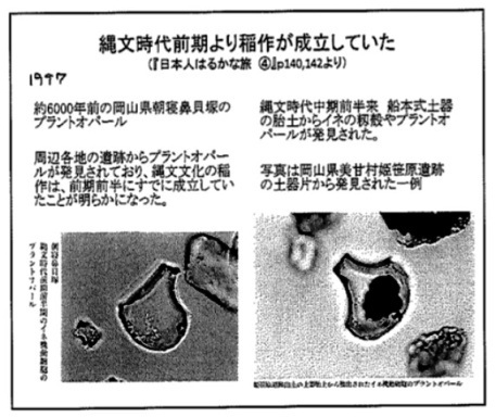 縄文人と弥生人についてNHKの嘘_d0083068_18165666.png