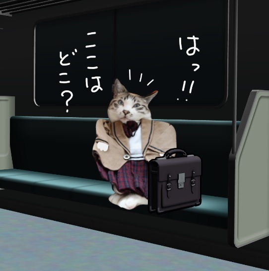 お疲れニャンコ_a0333195_21011423.jpg