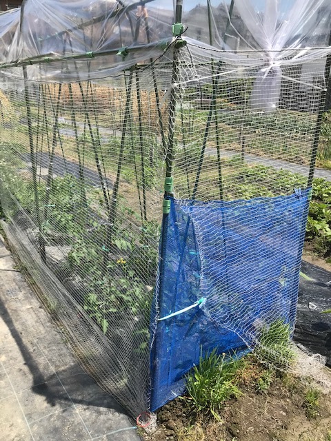 暑かった💦_f0204295_19254813.jpg
