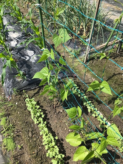 暑かった💦_f0204295_19291624.jpg