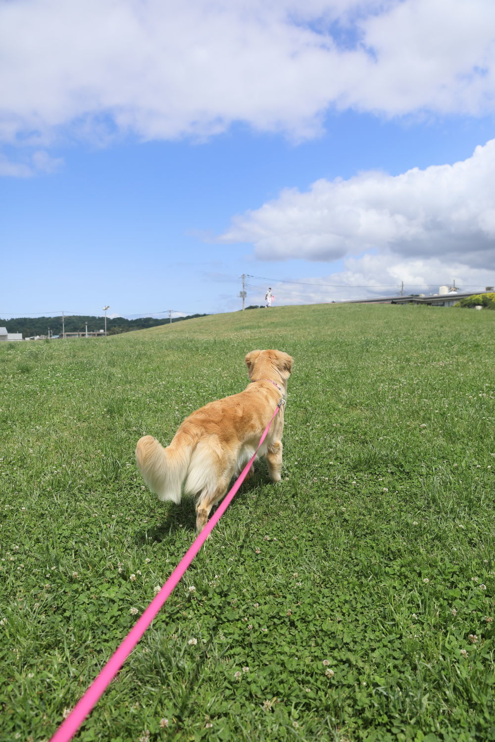 湘南ブルー♪_b0275998_12175312.jpg