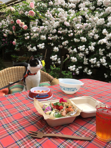 中庭でバースデーランチ。_d0077603_09580565.jpg