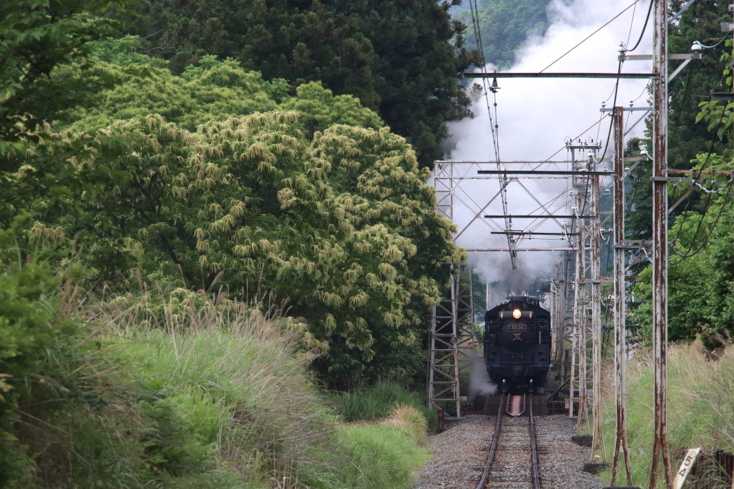 栗の花が咲く頃　- 2019年・秩父鉄道 -_b0190710_21331053.jpg