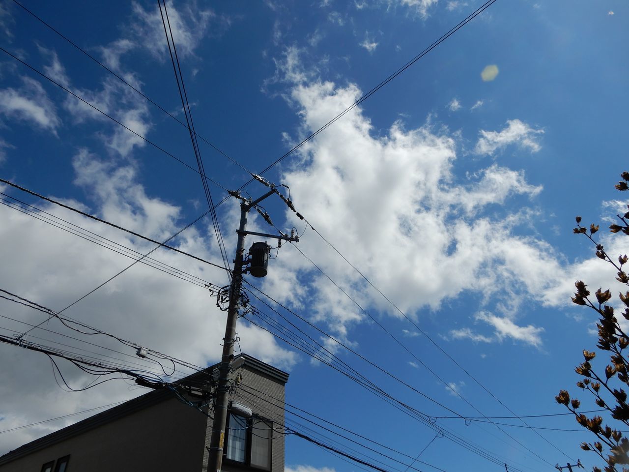 雨上がり_c0025115_22521193.jpg