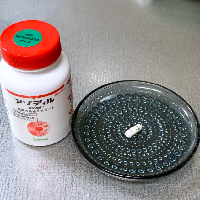 復活傾向ちゃとらんと腎不全のサプリメント_d0355333_21113170.jpg