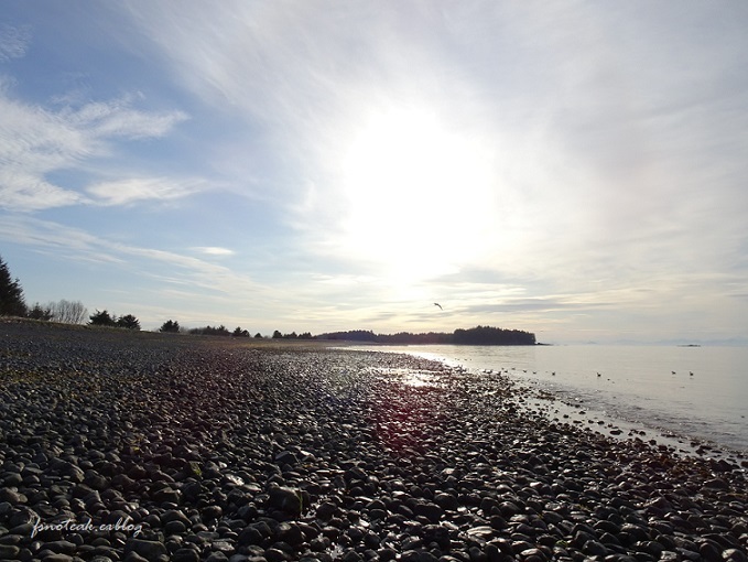 Bay ヒルトン滞在 前日後半_d0356844_10130775.jpg