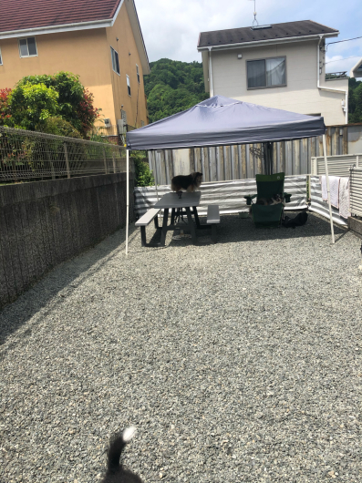 土日、とても家事がはかどりました。_f0126965_14363105.jpg