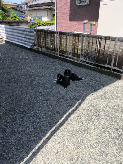 土日、とても家事がはかどりました。_f0126965_14364005.jpg