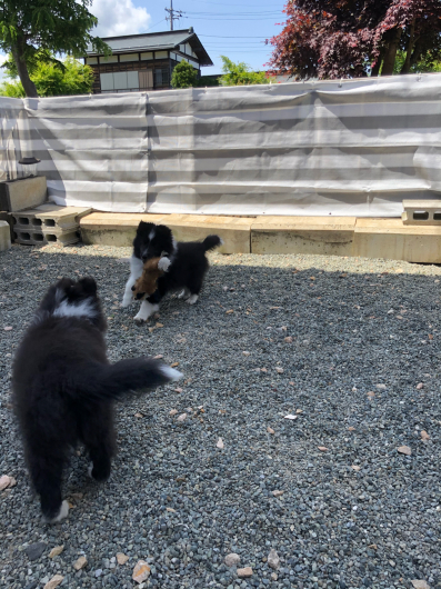 土日、とても家事がはかどりました。_f0126965_14373014.jpg