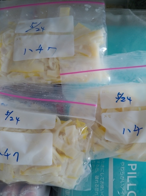 破竹が来た〜〜〜!_c0162773_12555080.jpg