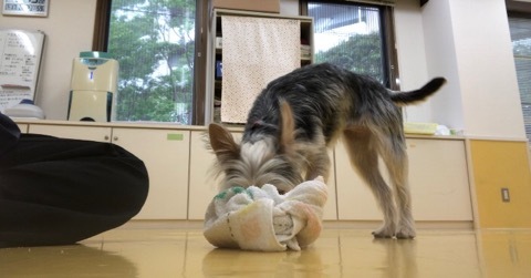 トレーニングブログ_f0357682_20005167.jpeg