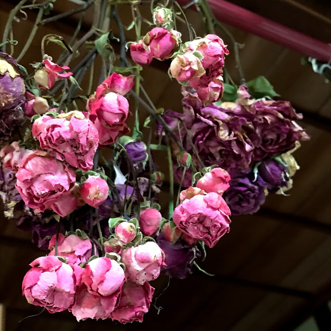 薔薇を抱えた訪問者!「彼!ではありません!(笑)愉しい友人・・・」編_e0359584_09015528.jpg