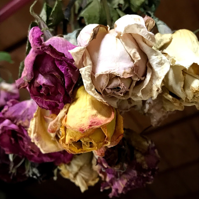 薔薇を抱えた訪問者!「彼!ではありません!(笑)愉しい友人・・・」編_e0359584_09015531.jpg