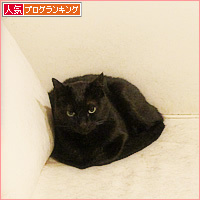 2年越しの出会い_a0389088_04080173.jpg