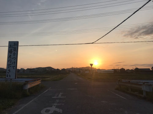 バギーズショーツの5inch_e0357389_17040944.jpg