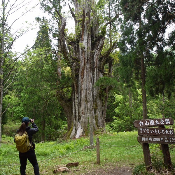 銚子ヶ峰に行きました。_e0271890_23300001.jpg