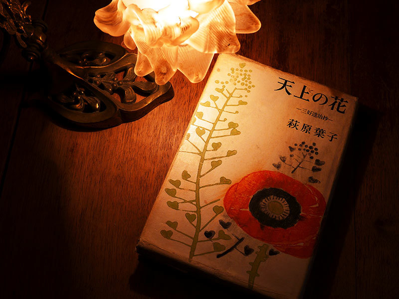 天上の花 ちほりごと ｏｏ