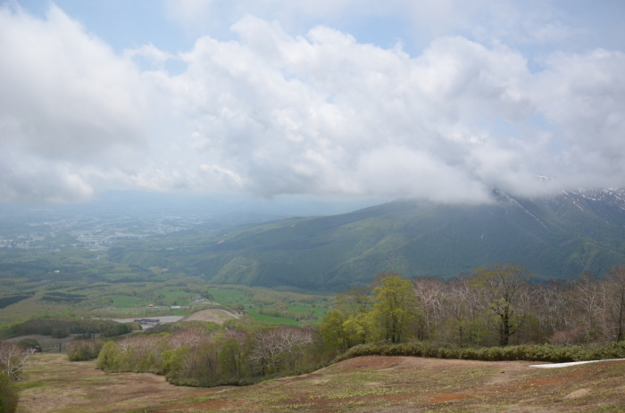山の恵み_d0077992_10015650.jpg