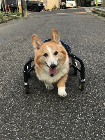 光が!!_f0242002_00375028.jpg