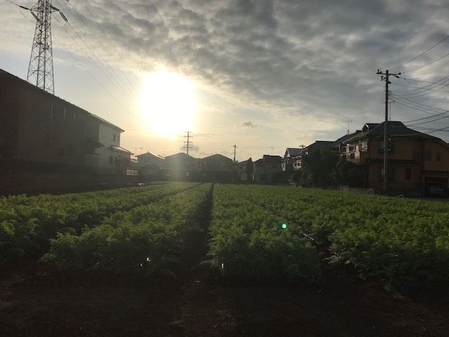 光が!!_f0242002_00404352.jpg