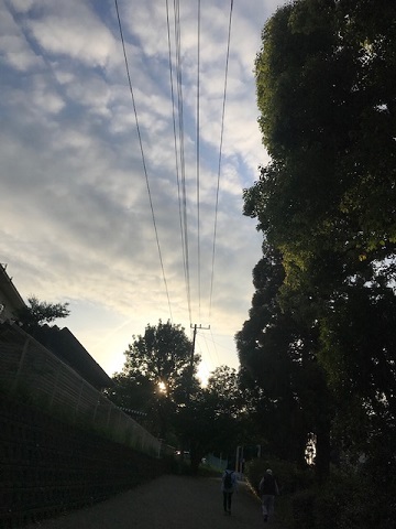 光が!!_f0242002_00410512.jpg