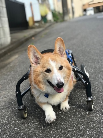 光が!!_f0242002_00413123.jpg