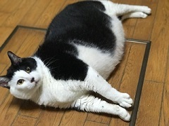 卒業 ☆ だんぷ_f0242002_12202001.jpg