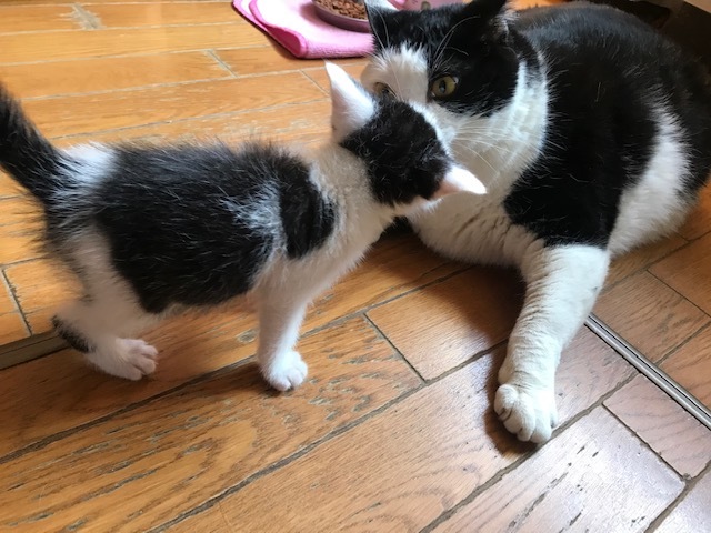 驚愕の14.5キロ!!_f0242002_13351926.jpg