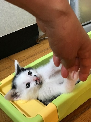 驚愕の14.5キロ!!_f0242002_13361769.jpg